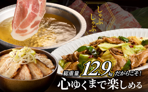6か月 お楽しみ 定期便 宮崎牛 宮崎県産豚 食べ尽くし セット 総重量12.9kg 数量限定 6回 肉 牛肉 豚肉 国産 食品 黒毛和牛 小分け ロース 豚バラ 小間切れ スライス 焼肉 しゃぶしゃぶ すき焼き おかず 冷凍 おすすめ ギフト 宮崎県 日南市 送料無料_P1-24