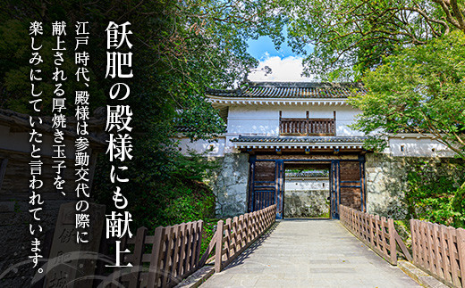 飫肥 厚焼きたまご 加工品 玉子焼き 国産 卵 名物 人気 おすすめ 加工食品 郷土料理 和食 惣菜 お弁当 デザート おやつ おつまみ お土産 ギフト 贈り物 プレゼント お祝 おすそ分け お取り寄せ グルメ 宮崎県 日南市 送料無料_BA61-23