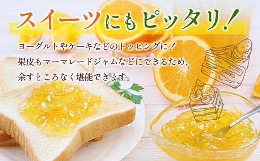 ★テレビで紹介された★ 数量限定 グレープフルーツ 月夜実 白 つくよみ 計4kg以上 期間限定 希少 完熟 果物 くだもの 柑橘 オリジナル ブランド 国産 食品 人気 おすすめ デザート スイーツ おやつ おすそ分け お取り寄せ グルメ 産地直送 宮崎県 日南市 送料無料_BC102-24