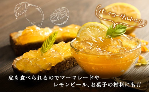 èš³ãã å
è¡äºçŽ æ°ééå® ãã€ã€ãŒã¬ã¢ã³ èš5kgä»¥äž ãã«ãŒã æç© ææ© ã¬ã¢ã³ 檞檬 ãªã¬ã³ãž äººæ° ãããã ãããåã ãåç£ ãã¬ãŒã³ã ãåãå¯ã ã°ã«ã¡ åœç£ é£å ãã¶ãŒã ã¹ã€ãŒã ãã©ã³ã åžå° ç¹ç£å ç£å°çŽé å®®åŽç æ¥ååž éæç¡æ_A89-23