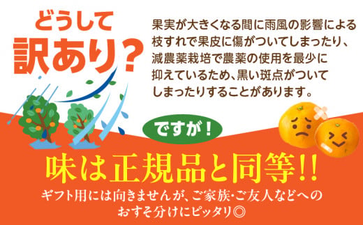 訳あり 数量限定 海藻木酢みかん 計 5kg 以上 傷み補償分入り フルーツ 果物 くだもの 柑橘 みかん 国産 期間限定 みかんジュース 食品 家庭用 自宅用 B品 わけあり オレンジ デザート おやつ おすすめ おすそ分け ご褒美 産地直送 宮崎県 日南市 送料無料_A94-25