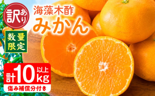 訳あり 数量限定 海藻木酢みかん 計 10kg 以上 傷み補償分入り フルーツ 果物 くだもの 柑橘 みかん 国産 期間限定 みかんジュース 食品 家庭用 自宅用 B品 わけあり オレンジ デザート おやつ おすすめ おすそ分け ご褒美 産地直送 宮崎県 日南市 送料無料_BBV4-25