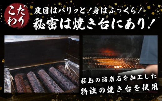 è·äºº æçŒã ããªãè²çŒ 1å°Ÿ èš130gä»¥äž é°» éä»é¡ äŒçµ±ã®å³ ç§äŒã®ã¿ã¬ å³éž åœç£ ãŠãã® ããã é£å å å·¥å ç空ãã㯠å·èµ äººæ° ãããã ããªé ããªäžŒ æ£è ãåç£ ã²ã€ãŸã¶ã ããªãå¯¿åž ãç¥ã èŽãç© ã®ãã èŽç ãã¬ãŒã³ã å®®åŽç æ¥ååž éæç¡æ_BA51-23
