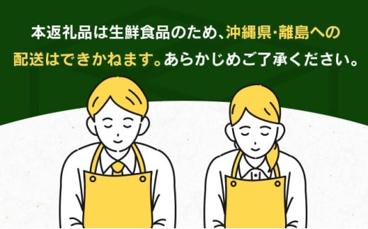 リピーター続出!!宮崎県産 完熟 マンゴー 2L以上×4玉 令和8年発送分 数量限定 フルーツ 果物 果汁 希少 濃厚 ジューシー 贅沢 上質 ご褒美 人気 国産 食品 おやつ デザート 産地直送 おすすめ ギフト プレゼント 贈り物 お土産 手土産 南国 日南市 送料無料_ED10-25