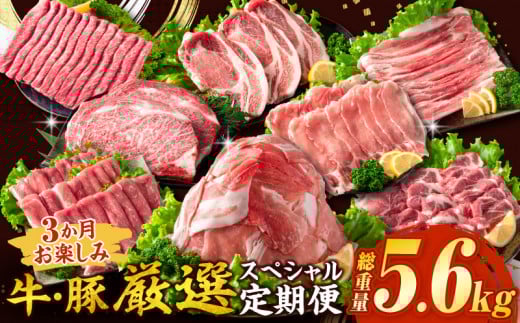 3か月 お楽しみ 牛 豚 厳選 スペシャル 定期便 総重量5.6kg 肉 牛肉 宮崎牛 肩ウデ ロースステーキ 豚肉 6種 盛り合わせ セット 豚ロース 豚バラ 小間切れ すき焼き しゃぶしゃぶ 黒毛和牛 A4 A5 和牛 国産 食品 牛丼 薄切り おすすめ ミヤチク 宮崎県産 日南市 送料無料_HE8-25