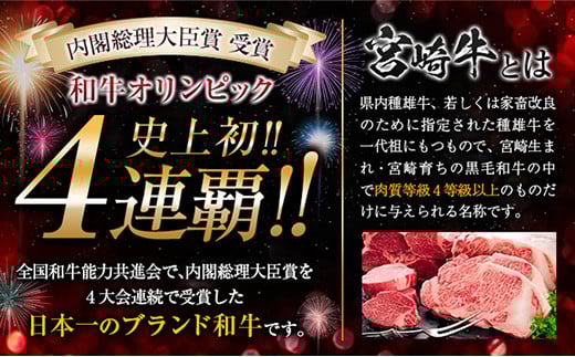 数量限定 3か月隔月 牛肉ステーキ定期便 ロース モモ ミスジ ステーキ 食べ比べ セット 総重量1.6kg以上 牛肉 ビーフ 黒毛和牛 国産 食品 おかず 焼肉 鉄板焼き バーベキュー 高級 贅沢 ご褒美 お祝い 記念日 お取り寄せ ミヤチク 宮崎県 日南市 送料無料_I27-25
