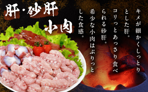 æ¥åã©ã çŒè é£ã¹æ¯ã¹ ã»ãã åèš3kg é¶è åœç£ ããã³ é¶ããè å身 è ç è å°è äººæ° å°åã äŸ¿å© ããã ãåŒåœ ãã€ãŸã¿ é£å ç空ãã㯠ããŒããã¥ãŒ BBQ åæã ãåãå¯ã ãããã ãè€çŸ èšå¿µæ¥ ãç¥ã ãããåã æ¥ååž å®®åŽç éæç¡æ_CB86-24