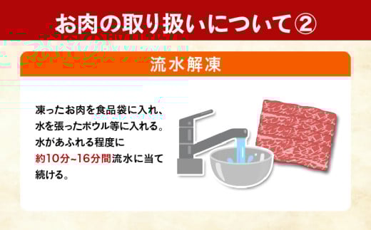 3か月 お楽しみ 定期便 宮崎牛 スライス セット 総重量2.6kg 肉 牛肉 豚肉 すき焼き しゃぶしゃぶ ハンバーグ 黒毛和牛 A4 A5 和牛 国産 食品 牛丼 薄切り おすすめ 赤身肉 おかず お弁当 ブランド牛 ご褒美 記念日 お祝い ミヤチク 宮崎県 日南市 送料無料_GH4-25