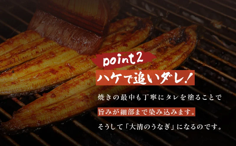 職人 手焼き うなぎ蒲焼 3尾 計390g以上 鰻 魚介類 伝統の味 秘伝のタレ 厳選 国産 ウナギ おかず 食品 加工品 真空パック 冷蔵 人気 おすすめ うな重 うな丼 惣菜 お土産 ひつまぶし うなぎ寿司 お祝い 贈り物 ギフト 贈答 プレゼント 宮崎県 日南市 送料無料_EC6-23