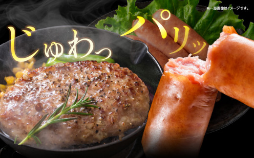 粗挽き ウインナー 90g×4パック ポークハンバーグ 100g×8個 お試しセット 国産 豚肉 ソーセージ 加工品 おかず お弁当 おつまみ 食品 BBQ バーベキュー 焼肉 人気 おすすめ 詰め合わせ 簡単調理 小分け お取り寄せ グルメ ミヤチク 宮崎県 日南市 送料無料_BA94-25