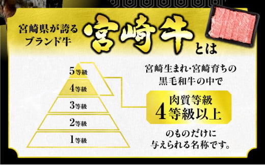 6か月 お楽しみ 定期便 宮崎牛 宮崎県産豚 食べ尽くし セット 総重量12.9kg 数量限定 6回 肉 牛肉 豚肉 国産 食品 黒毛和牛 小分け ロース 豚バラ 小間切れ スライス 焼肉 しゃぶしゃぶ すき焼き おかず 冷凍 おすすめ ギフト 宮崎県 日南市 送料無料_P1-24
