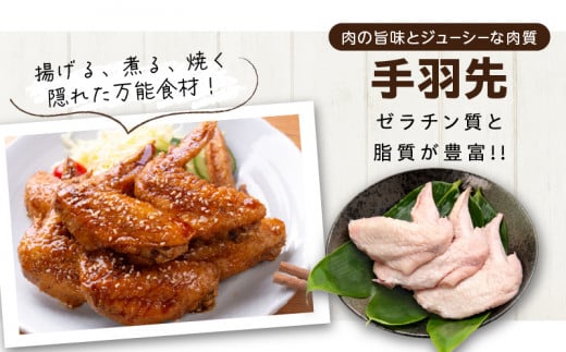日南どり よりどり セット 合計3kg 鶏肉 国産 チキン もも切身 手羽先 手羽中 手羽元 小分け 便利 おかず おつまみ お弁当 食品 真空パック から揚げ 焼肉 お取り寄せ グルメ おすすめ 万能食材 おすそ分け ご褒美 記念日 お祝い 宮崎県 日南市 送料無料_CB85-24