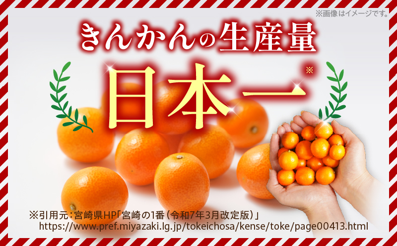 先行予約 完熟きんかん たまたま 計2kg以上 (1kg×2箱) 希少 期間限定 数量限定 フルーツ 果物 くだもの 柑橘 金柑 国産 食品 大粒 宮崎ブランド おすすめ デザート おやつ ギフト 贈り物 贈答 お返し お祝い おすそ分け 産地直送 日南市 送料無料_BC103-24