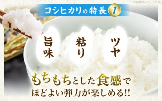 令和8年産 新米 コシヒカリ 計10kg お米 ご飯 ライス 国産 数量限定 期間限定 人気 食品 精米 白米 こしひかり 有洗米 おにぎり お弁当 炊き込みご飯 雑炊 ギフト プレゼント 贈り物 お取り寄せ 産地直送 宮崎県 日南市 送料無料_D131-26