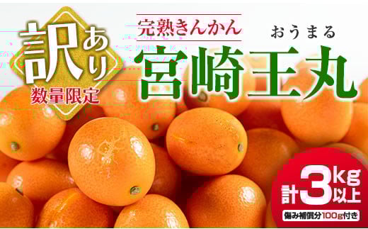 先行予約 訳あり 完熟 きんかん 宮崎王丸 計3kg以上 傷み補償分入り 数量限定 期間限定 フルーツ 果物 くだもの 柑橘 金柑 訳アリ おすすめ おすそ分け ご家庭用 ご自宅用 お取り寄せ 国産 食品 デザート おやつ 甘露煮 産地直送 宮崎県 日南市 送料無料_B245-25