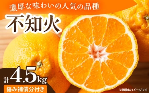 先行予約 不知火 計4.5kg 傷み補償分付き 期間限定 果物 くだもの フルーツ 蜜柑 ミカン 柑橘 おやつ デザート みかんジュース ゼリー シャーベット おすすめ おすそ分け 国産 食品 産地直送 お祝い お返し ギフト 贈り物 贈答 宮崎県 日南市 送料無料_CB112-25