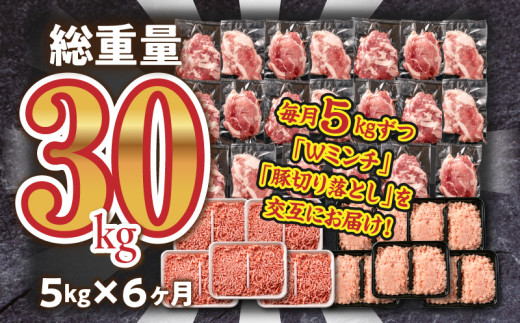 数量限定 6か月 お楽しみ 定期便 豚肉 鶏肉 ミンチ 豚 切り落とし セット 総重量30kg 6回 国産 おかず 食品 ひき肉 挽肉 万能食材 鍋 つくね ハンバーグ 豚丼 お祝 記念日 おすすめ お弁当 おつまみ 小分け 個包装 冷凍 おすそ分け 宮崎県 日南市 送料無料_MH2-24