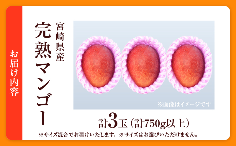 数量限定 宮崎県産 完熟マンゴー 3玉 計750g以上 期間限定 フルーツ スイーツ 果物 くだもの 食品 グルメ デザート 国産 産地直送 人気 おすすめ おやつ 高級 ご褒美 贅沢 贈り物 ギフト プレゼント 令和8年発送分 宮崎県 日南市 送料無料_CD74-25
