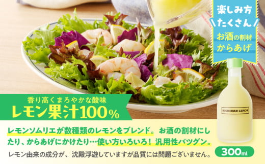 日南レモン シロップ レモン 果汁 オリジナル 2本 セット 合計600ml 果物 フルーツ くだもの れもん 檸檬 柑橘 ジュース 飲料 ドリンク 国産 食品 オリジナル ブレンド 無添加 保存料不使用 お土産 ギフト プレゼント 贈り物 贈答品 宮崎県 日南市 送料無料_C151-25