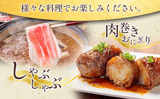 数量限定 3か月 お楽しみ 定期便 宮崎県産 豚肉 しゃぶしゃぶ スライス 焼肉 セット 総重量4.5kg ポーク 国産 食品 豚バラ 豚ロース おかず お弁当 おつまみ ご褒美 お祝い 記念日 BBQ 万能食材 詰め合わせ 食べ比べ お取り寄せ グルメ 冷凍 日南市 送料無料_GE6-23