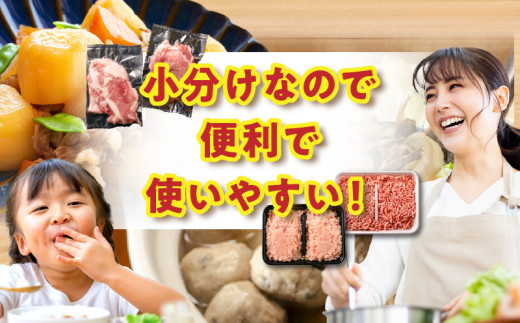 数量限定 6か月 お楽しみ 定期便 豚肉 鶏肉 ミンチ 豚 切り落とし セット 総重量30kg 6回 国産 おかず 食品 ひき肉 挽肉 万能食材 鍋 つくね ハンバーグ 豚丼 お祝 記念日 おすすめ お弁当 おつまみ 小分け 個包装 冷凍 おすそ分け 宮崎県 日南市 送料無料_MH2-24