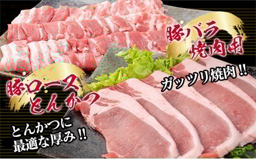 è±è é¶è é£ã¹æ¯ã¹ ã»ãã åèš5kg åœç£ é£å ããã¶ããã¶ çŒè BBQ ãšãã〠åãèœãšã è±ããŒã¹ è±ãã© é¶ã¢ã¢ ãããã çå§çŒã å°åã ãã©ãšãã£ äººæ° ãããã ãããåã ããã ãåŒåœ æ©ã飯 å®®åŽç æ¥ååž éæç¡æ_DC32-25