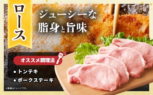 宮崎県産 豚肉ロースカツ用＆ヒレカツ用セット 合計1.3kg 国産 食品 2種 食べ比べ とんかつ トンテキ ポークステーキ 角煮 ソテー 豚丼 小分け おすすめ おかず お弁当 晩ご飯 手軽 便利 万能食材 ギフト 贈り物 冷凍 日南市 送料無料_BCV15-26