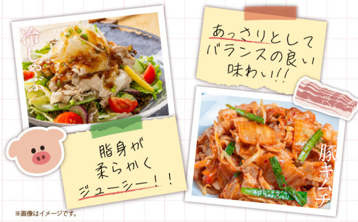 3か月 お楽しみ 定期便 小分けで便利 豚 切り落とし 総重量9kg お肉 豚肉 国産 小分け 真空パック 個包装 万能食材 おすすめ おかず 食品 お弁当 豚丼 しゃぶしゃぶ お祝い 記念日 宮崎県 日南市 送料無料_GB3-24