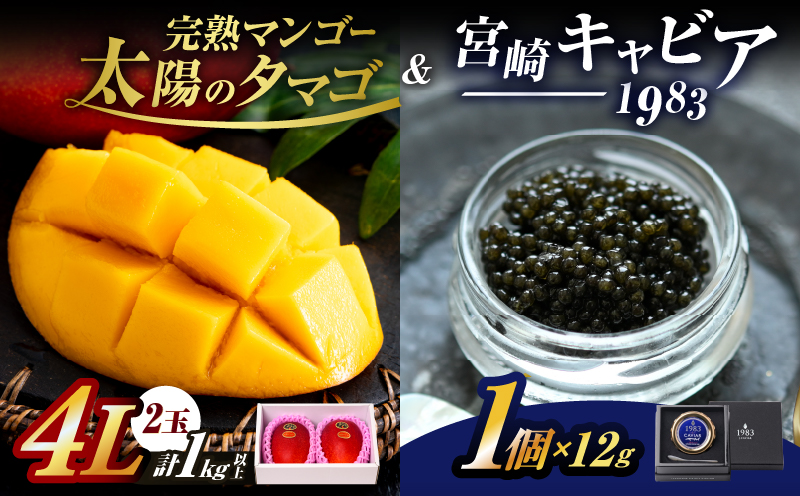 完熟マンゴー 太陽のタマゴ (4L×2玉) ＆ 宮崎キャビア1983 1個 期間限定 数量限定 宮崎 マンゴー フルーツ 果物 くだもの キャビア 魚介 魚卵 詰め合わせ 国産 食品 希少 デザート おすすめ 冷蔵 ご褒美 贅沢 選べる ギフト 贈り物 日南市 送料無料_LF1-25