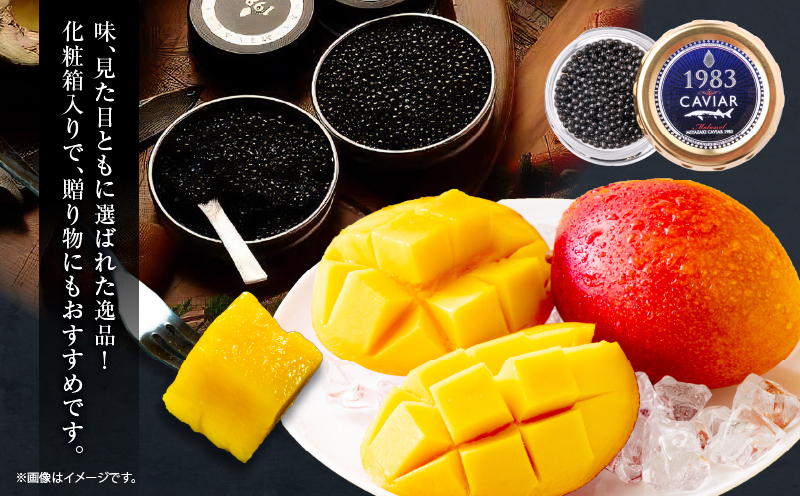 完熟マンゴー 太陽のタマゴ (4L×2玉) ＆ 宮崎キャビア1983 2個 期間限定 数量限定 宮崎 マンゴー フルーツ 果物 くだもの キャビア 魚介 魚卵 詰め合わせ 国産 食品 希少 デザート おすすめ 冷蔵 ご褒美 贅沢 選べる ギフト 贈り物 日南市 送料無料_NG1-25