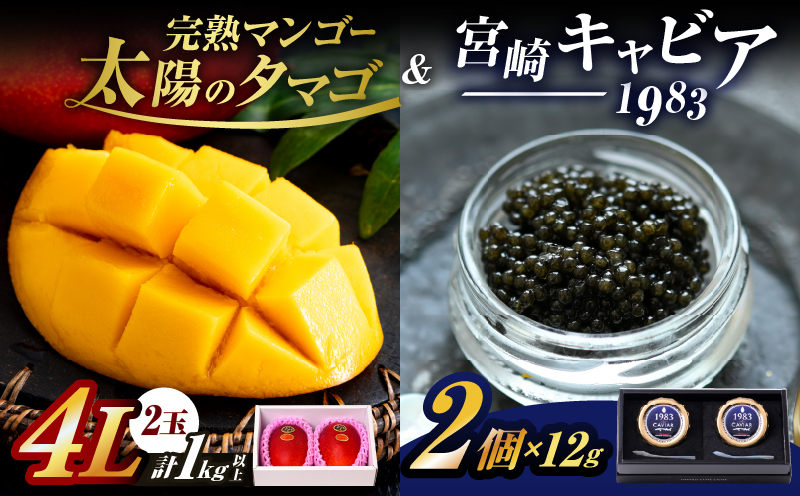 完熟マンゴー 太陽のタマゴ (4L×2玉) ＆ 宮崎キャビア1983 2個 期間限定 数量限定 宮崎 マンゴー フルーツ 果物 くだもの キャビア 魚介 魚卵 詰め合わせ 国産 食品 希少 デザート おすすめ 冷蔵 ご褒美 贅沢 選べる ギフト 贈り物 日南市 送料無料_NG1-25