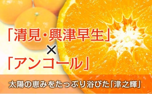 å
è¡äºçŽ æŽ¥ä¹èŒ ã€ã®ãããã 2kgä»¥äž (2kgÃ1ç®±) åžå° æééå® æ°ééå® ãã«ãŒã æç© ãã ãã® ææ© ã¿ãã 什å8幎çºé åœç£ é£å ãããã ãã¶ãŒã ãã〠ã¿ãããžã¥ãŒã¹ ãã«ãŒããµã³ã ã®ãã èŽãç© èŽç ãããåã å®®åŽç æ¥ååž éæç¡æ_A79-23