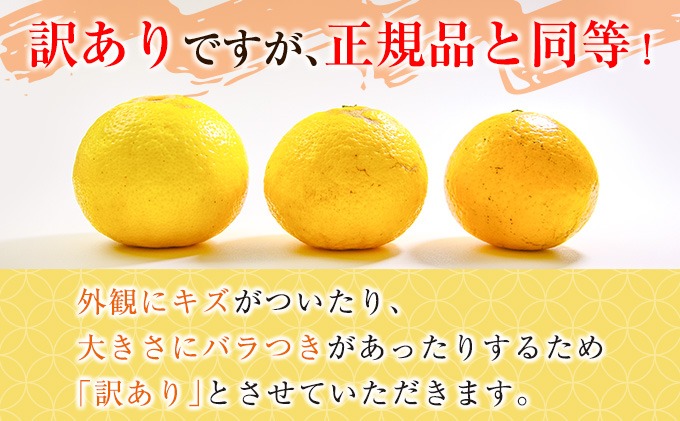 å
è¡äºçŽ èš³ãã å®®æµŠç£ æ¥åå€ èš10kgä»¥äž æééå® æ°ééå® ãã«ãŒã æç© ãã ãã® ææ© ã¿ãã 什å8幎çºé åœç£ ç£å°çŽé æ°é®® é£å ãžã¥ãŒã¹ ãã¶ãŒã ãã«ãŒããµã³ã ãã〠ãè€çŸ ãããåã ãå®¶åºçš å®®åŽç æ¥ååž éæç¡æ_CA85-25