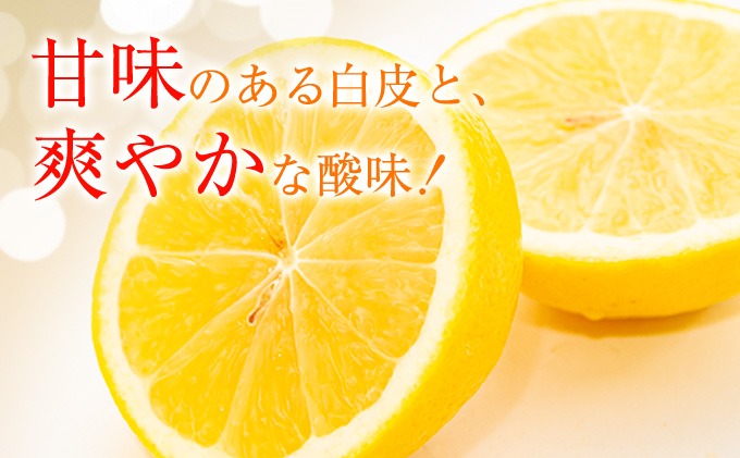 å
è¡äºçŽ èš³ãã å®®æµŠç£ æ¥åå€ èš10kgä»¥äž æééå® æ°ééå® ãã«ãŒã æç© ãã ãã® ææ© ã¿ãã 什å8幎çºé åœç£ ç£å°çŽé æ°é®® é£å ãžã¥ãŒã¹ ãã¶ãŒã ãã«ãŒããµã³ã ãã〠ãè€çŸ ãããåã ãå®¶åºçš å®®åŽç æ¥ååž éæç¡æ_CA85-25