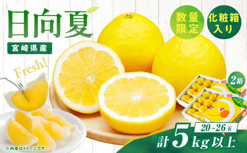 先行予約 日向夏 計5kg以上 化粧箱入り 期間限定 数量限定 果物 フルーツ くだもの 柑橘 みかん 令和8年発送 ジュース フルーツサンド おやつ デザート 国産 食品 おすすめ ギフト 贈り物 贈答 おすそ分け お祝い お返し 宮崎県 日南市 送料無料_CC74-25