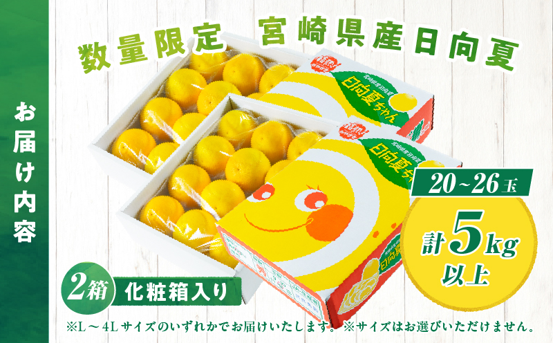 先行予約 日向夏 計5kg以上 化粧箱入り 期間限定 数量限定 果物 フルーツ くだもの 柑橘 みかん 令和8年発送 ジュース フルーツサンド おやつ デザート 国産 食品 おすすめ ギフト 贈り物 贈答 おすそ分け お祝い お返し 宮崎県 日南市 送料無料_CC74-25
