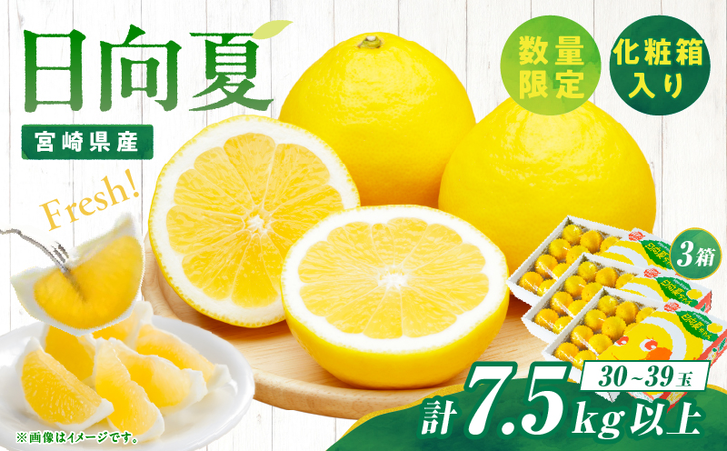 先行予約 日向夏 計7.5kg以上 化粧箱入り 期間限定 数量限定 果物 フルーツ くだもの 柑橘 みかん 令和8年発送 ジュース フルーツサンド おやつ デザート 国産 食品 おすすめ ギフト 贈り物 贈答 おすそ分け お祝い お返し 宮崎県 日南市 送料無料_E43-23