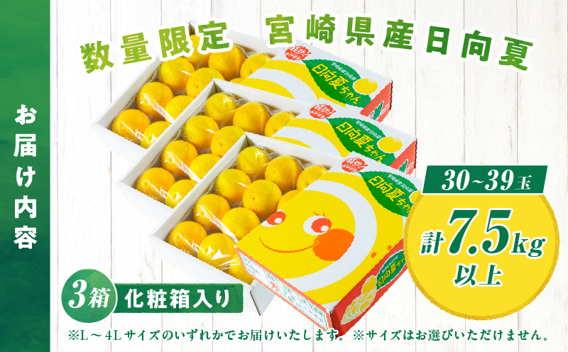 先行予約 日向夏 計7.5kg以上 化粧箱入り 期間限定 数量限定 果物 フルーツ くだもの 柑橘 みかん 令和8年発送 ジュース フルーツサンド おやつ デザート 国産 食品 おすすめ ギフト 贈り物 贈答 おすそ分け お祝い お返し 宮崎県 日南市 送料無料_E43-23