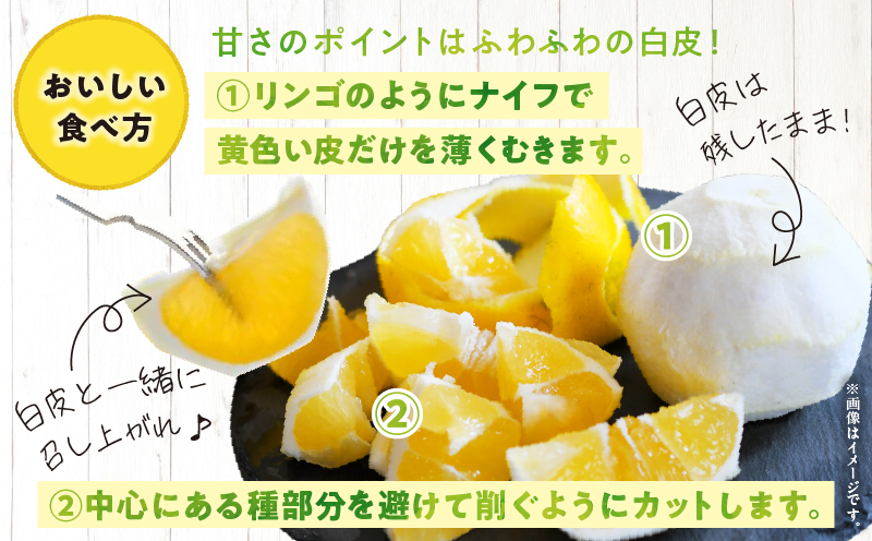 先行予約 日向夏 計5kg以上 化粧箱入り 期間限定 数量限定 果物 フルーツ くだもの 柑橘 みかん 令和8年発送 ジュース フルーツサンド おやつ デザート 国産 食品 おすすめ ギフト 贈り物 贈答 おすそ分け お祝い お返し 宮崎県 日南市 送料無料_CC74-25