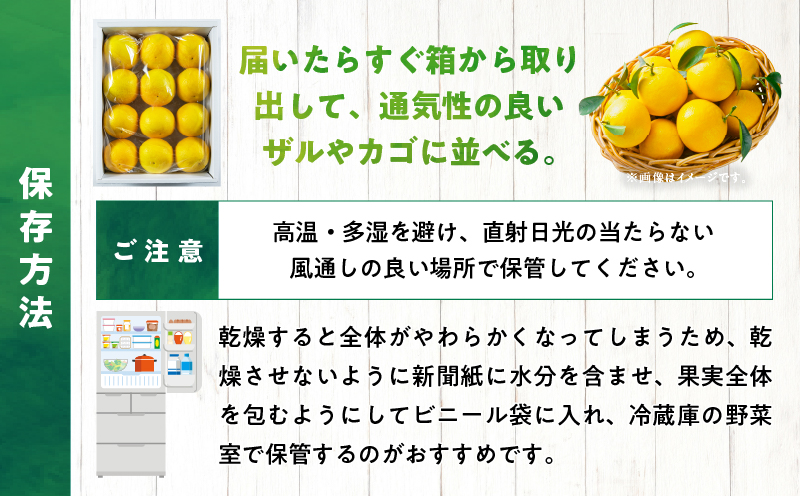 先行予約 日向夏 計5kg以上 化粧箱入り 期間限定 数量限定 果物 フルーツ くだもの 柑橘 みかん 令和8年発送 ジュース フルーツサンド おやつ デザート 国産 食品 おすすめ ギフト 贈り物 贈答 おすそ分け お祝い お返し 宮崎県 日南市 送料無料_CC74-25