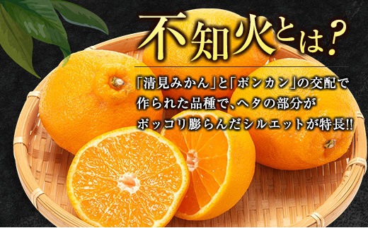 先行予約 不知火 計6kg以上 黒箱 化粧箱入り 期間限定 数量限定 果物 フルーツ くだもの 柑橘 みかん 令和8年発送 みかんジュース デザート おやつ 人気 おすすめ 国産 食品 ギフト 贈り物 贈答 ご褒美 お祝い 記念日 宮崎県 日南市 送料無料_D92-24