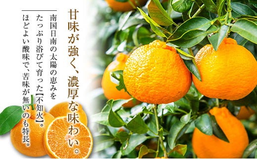 先行予約 不知火 計6kg以上 黒箱 化粧箱入り 期間限定 数量限定 果物 フルーツ くだもの 柑橘 みかん 令和8年発送 みかんジュース デザート おやつ 人気 おすすめ 国産 食品 ギフト 贈り物 贈答 ご褒美 お祝い 記念日 宮崎県 日南市 送料無料_D92-24