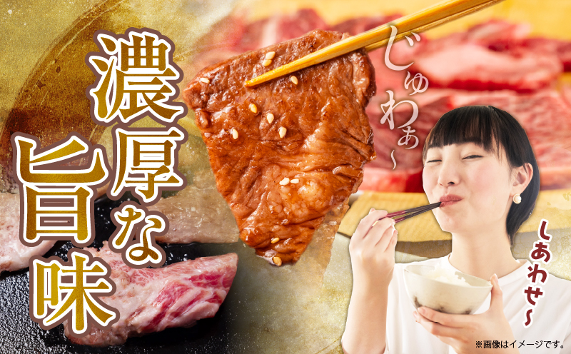 数量限定 訳あり 宮崎県産 黒毛和牛 焼肉用 切り落とし 計1kg 肉 牛肉 和牛 ワケアリ 不揃い 国産 冷凍 BBQ バーベキュー キャンプ おすすめ おかず おつまみ お弁当 炒め物 ビーフシチュー カレー お祝い 記念日 宮崎県 日南市 送料無料_DA56-25