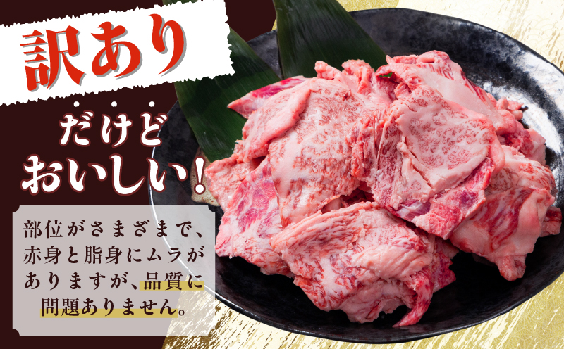 数量限定 訳あり 宮崎県産 黒毛和牛 焼肉用 切り落とし 計1kg 肉 牛肉 和牛 ワケアリ 不揃い 国産 冷凍 BBQ バーベキュー キャンプ おすすめ おかず おつまみ お弁当 炒め物 ビーフシチュー カレー お祝い 記念日 宮崎県 日南市 送料無料_DA56-25