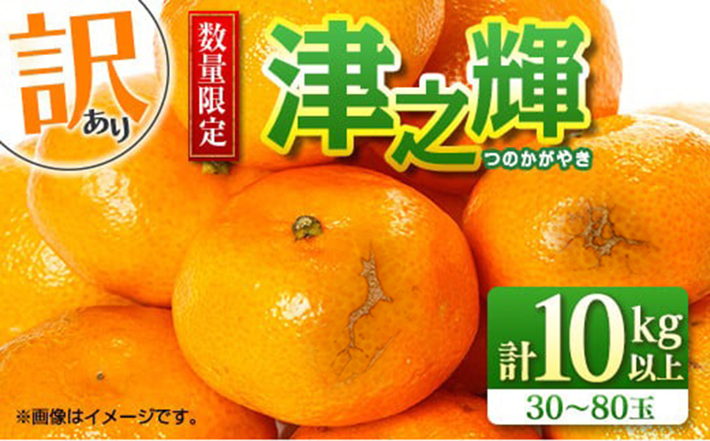 先行予約 訳あり 津之輝 つのかがやき 10kg以上 (5kg×2箱) 希少 期間限定 数量限定 フルーツ 果物 くだもの 柑橘 みかん 令和8年発送 国産 食品 おすすめ デザート おやつ みかんジュース フルーツサンド ご家庭用 おすそ分け 宮崎県 日南市 送料無料_D74-23