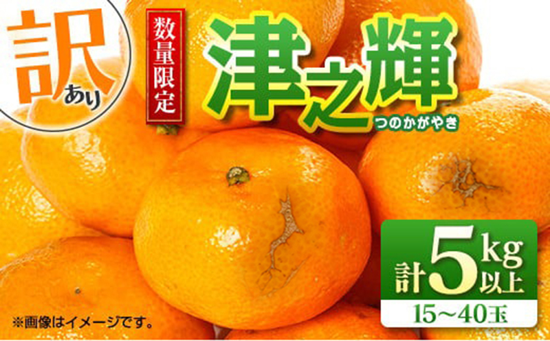 先行予約 訳あり 津之輝 つのかがやき 5kg以上 (5kg×1箱) 希少 期間限定 数量限定 フルーツ 果物 くだもの 柑橘 みかん 令和8年発送 国産 食品 おすすめ デザート おやつ みかんジュース フルーツサンド ご家庭用 おすそ分け 宮崎県 日南市 送料無料_BB86-23