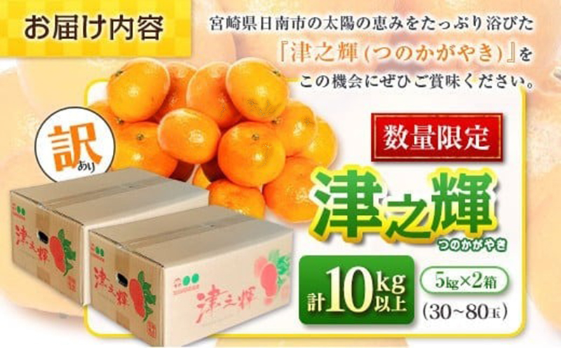 先行予約 訳あり 津之輝 つのかがやき 10kg以上 (5kg×2箱) 希少 期間限定 数量限定 フルーツ 果物 くだもの 柑橘 みかん 令和8年発送 国産 食品 おすすめ デザート おやつ みかんジュース フルーツサンド ご家庭用 おすそ分け 宮崎県 日南市 送料無料_D74-23