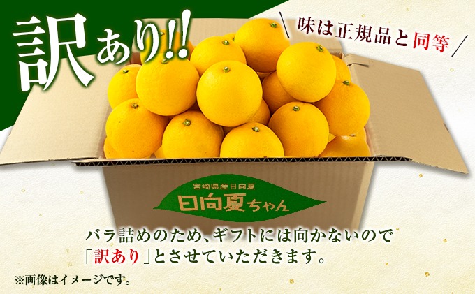先行予約 訳あり 日向夏 計10kg以上 期間限定 数量限定 果物 フルーツ くだもの 柑橘 みかん 令和8年発送 ジュース フルーツサンド おやつ デザート 国産 食品 おすすめ バラ詰め おすそ分け ご家庭用 手土産 宮崎県 日南市 送料無料_D114-25