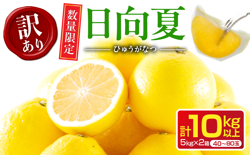 先行予約 訳あり 日向夏 計10kg以上 期間限定 数量限定 果物 フルーツ くだもの 柑橘 みかん 令和8年発送 ジュース フルーツサンド おやつ デザート 国産 食品 おすすめ バラ詰め おすそ分け ご家庭用 手土産 宮崎県 日南市 送料無料_D114-25