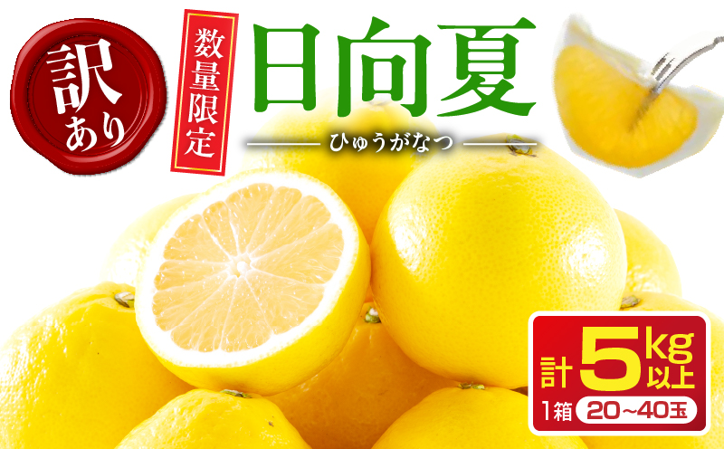 先行予約 訳あり 日向夏 計5kg以上 期間限定 数量限定 果物 フルーツ くだもの 柑橘 みかん 令和8年発送 ジュース フルーツサンド おやつ デザート 国産 食品 おすすめ バラ詰め おすそ分け ご家庭用 手土産 宮崎県 日南市 送料無料_BB98-23